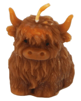 Bienenwachskerze Hochlandrind sitzend